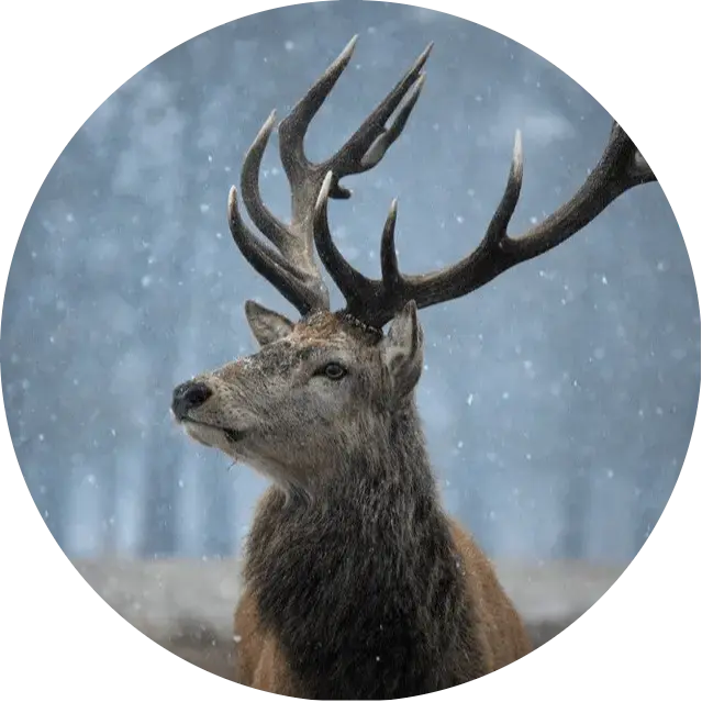 ShiGuang - 海纳百川